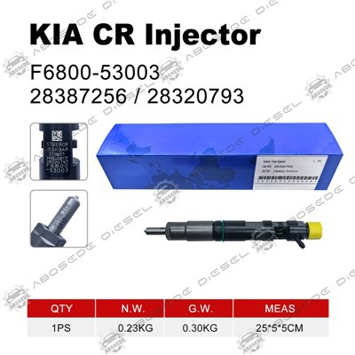 Algeng járnbraut f 6800-53003/28387256/28320793 Diesel eldsneyti innspýting fyrir KIA vélar